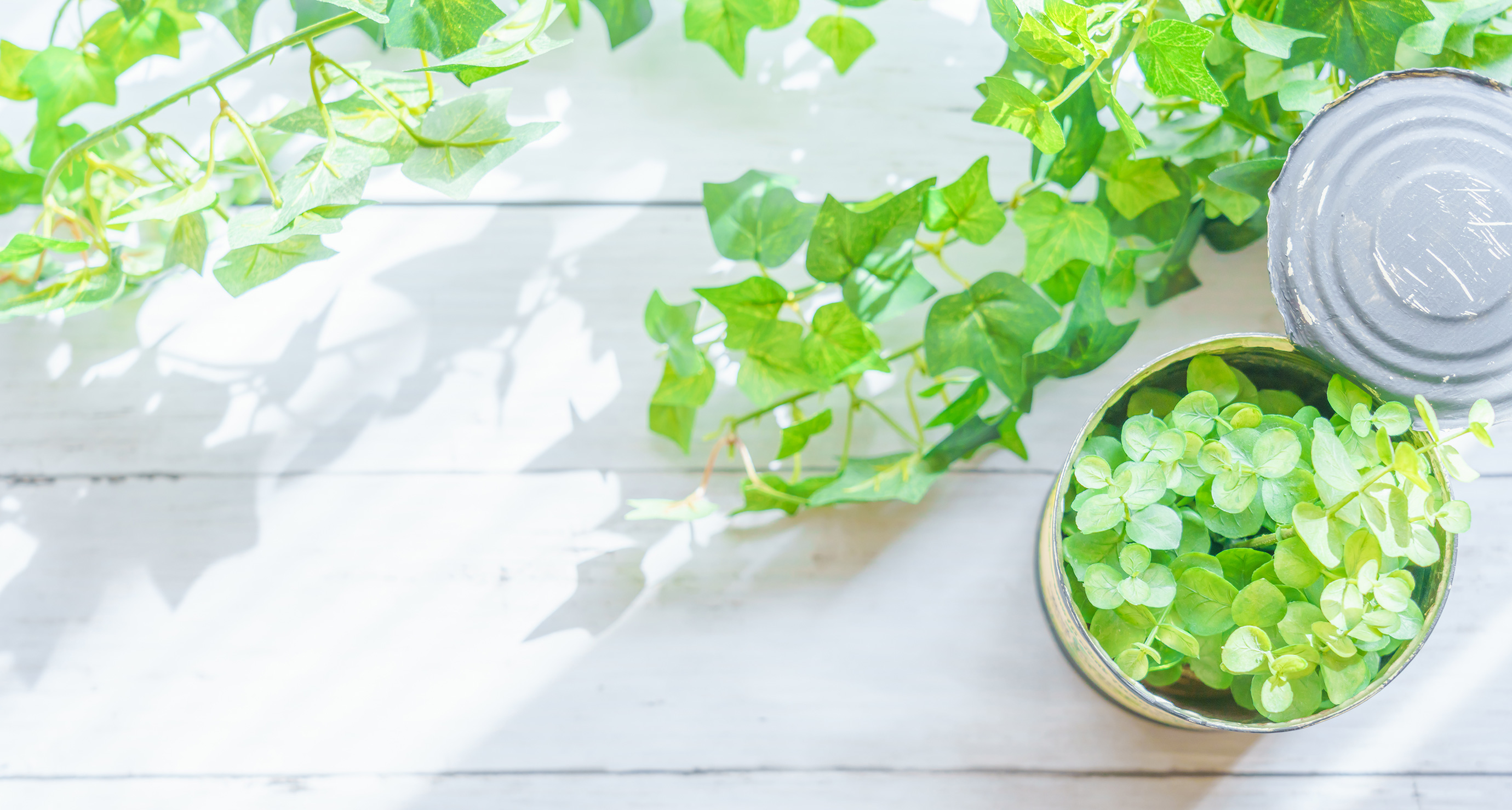 翌日発送・食品分野におけるメタボリックプロファイリング/福崎英一郎 まだ食べられる食品を定期宅配するImperfect Foodsが約99億円を調達